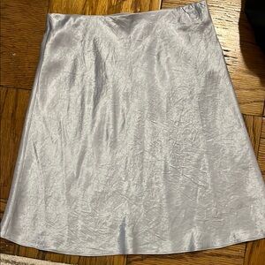 Aritzia Skirt